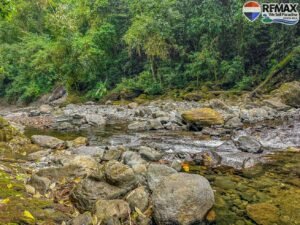 investment land for sale in costa rica 1 (2.5)