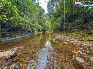 investment land for sale in costa rica 1 (20.2)