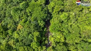 investment land for sale in costa rica 1 (21)