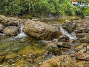 investment land for sale in costa rica 1 (21.5)