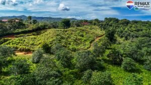 investment land for sale in costa rica 1 (22)