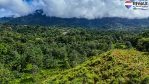 investment land for sale in costa rica 1 (23)