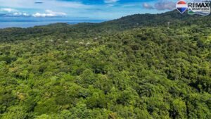 investment land for sale in costa rica 1 (26)