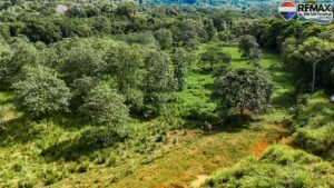 investment land for sale in costa rica 1 (30)