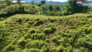 investment land for sale in costa rica 1 (32)
