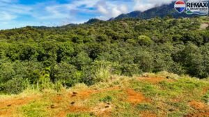 investment land for sale in costa rica 1 (34)