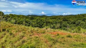 investment land for sale in costa rica 1 (35)