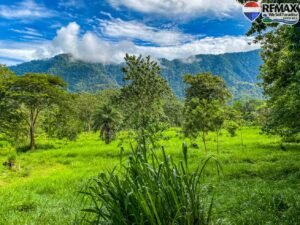 investment land for sale in costa rica 1 (36)
