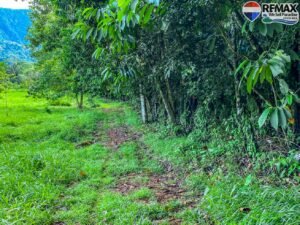 investment land for sale in costa rica 1 (37)