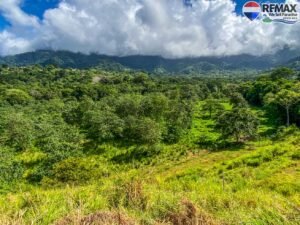 investment land for sale in costa rica 1 (38)