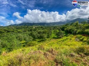 investment land for sale in costa rica 1 (39)