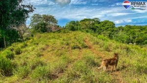 investment land for sale in costa rica 1 (40)