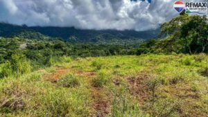 investment land for sale in costa rica 1 (41)
