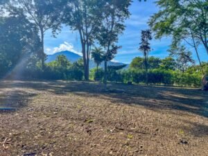 170005 – Lot 5 Caracara Ridge 03