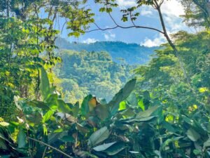 170005 – Lot 5 Caracara Ridge 09