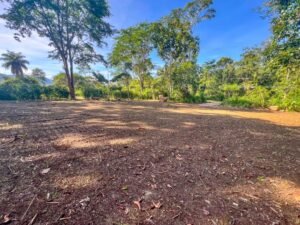 170005 – Lot 5 Caracara Ridge 10