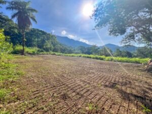 170007 – Lot 7 Caracara Ridge 01