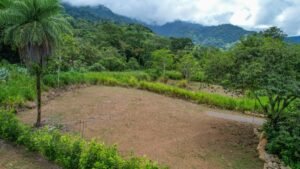 170007 – Lot 7 Caracara Ridge 03