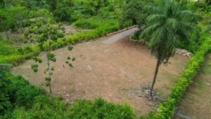 170007 – Lot 7 Caracara Ridge 04