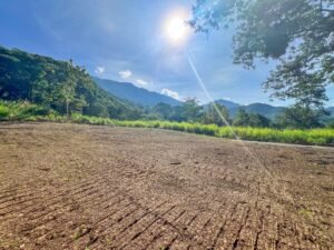 170007 – Lot 7 Caracara Ridge 07