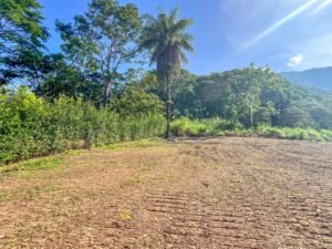 170007 – Lot 7 Caracara Ridge 08