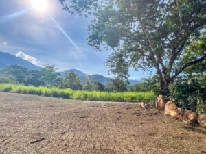 170007 – Lot 7 Caracara Ridge 09