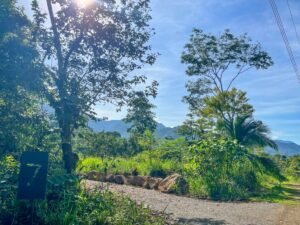 170007 – Lot 7 Caracara Ridge 11
