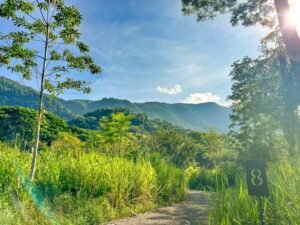 170008 – Lot 8 Caracara Ridge 01