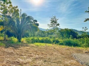 170008 – Lot 8 Caracara Ridge 02