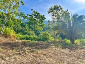 170008 – Lot 8 Caracara Ridge 03
