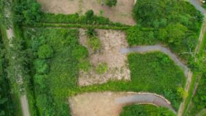 170008 – Lot 8 Caracara Ridge 04