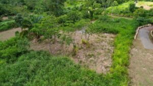 170008 – Lot 8 Caracara Ridge 05