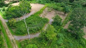170008 – Lot 8 Caracara Ridge 06