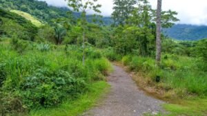 170008 – Lot 8 Caracara Ridge 07