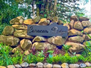 170008 – Lot 8 Caracara Ridge 08