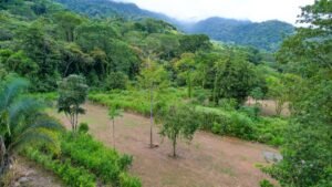 170009 – Lot 9 Caracara Ridge 01