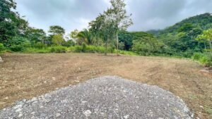 170009 – Lot 9 Caracara Ridge 02