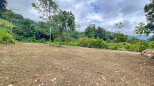 170009 – Lot 9 Caracara Ridge 03