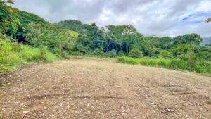 170009 – Lot 9 Caracara Ridge 04
