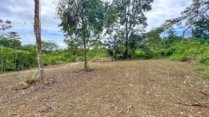 170009 – Lot 9 Caracara Ridge 05