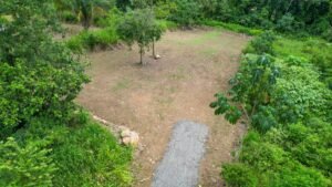 170009 – Lot 9 Caracara Ridge 06