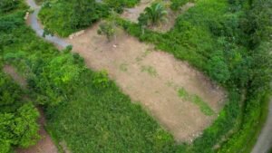 170009 – Lot 9 Caracara Ridge 07