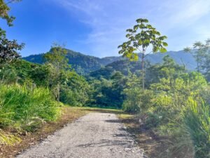 170009 – Lot 9 Caracara Ridge 08