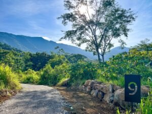 170009 – Lot 9 Caracara Ridge 09