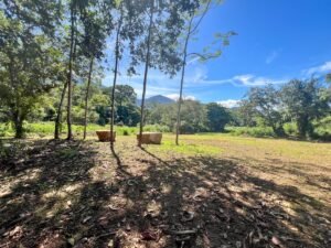 170010 – Lot 10 Caracara Ridge 01