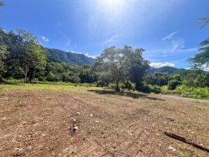 170010 – Lot 10 Caracara Ridge 02