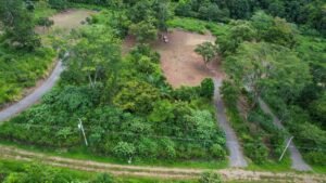 170010 – Lot 10 Caracara Ridge 03