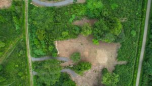 170010 – Lot 10 Caracara Ridge 04