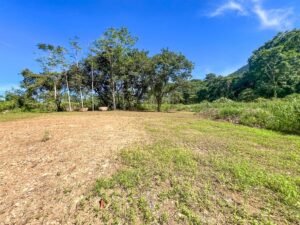 170010 – Lot 10 Caracara Ridge 05