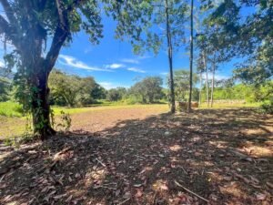 170010 – Lot 10 Caracara Ridge 06
